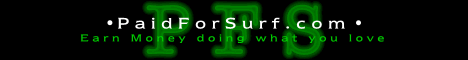 PaidForSurf -       !